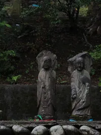 Vasasita