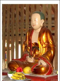 Vô Ngôn Thông